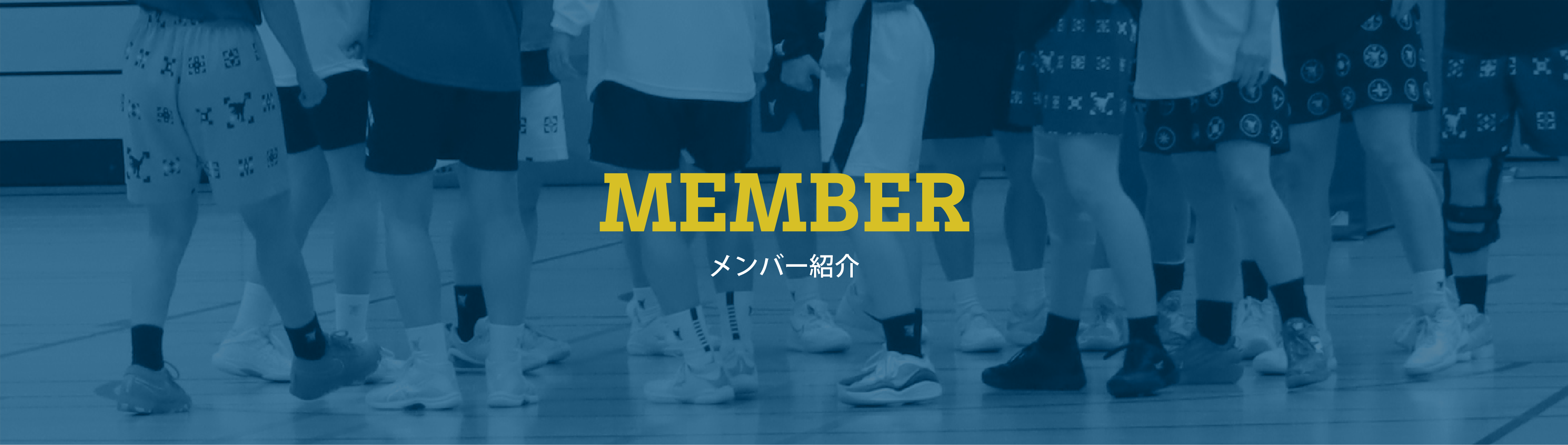 メンバー紹介